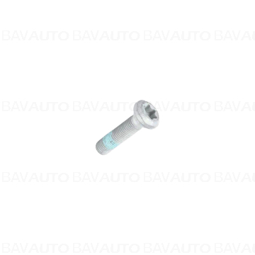 31206855906 - Collar screw