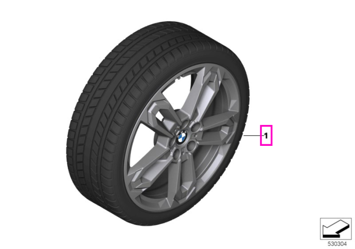 Roata completa de iarna - Double Spoke 1041 - Hankook Winter i*cept evo3 X - 195/55R19 97H XL - TPMS / RDCi - BMW X1 U11, X2 U10